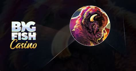 big fish poker|big fish casino for pc.